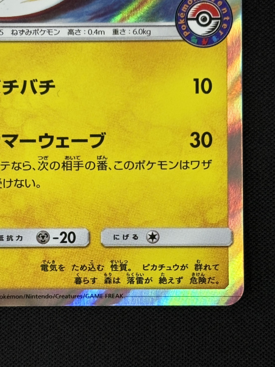 【状態B】海で遊ぶピカチュウ[P](392/SM-P)