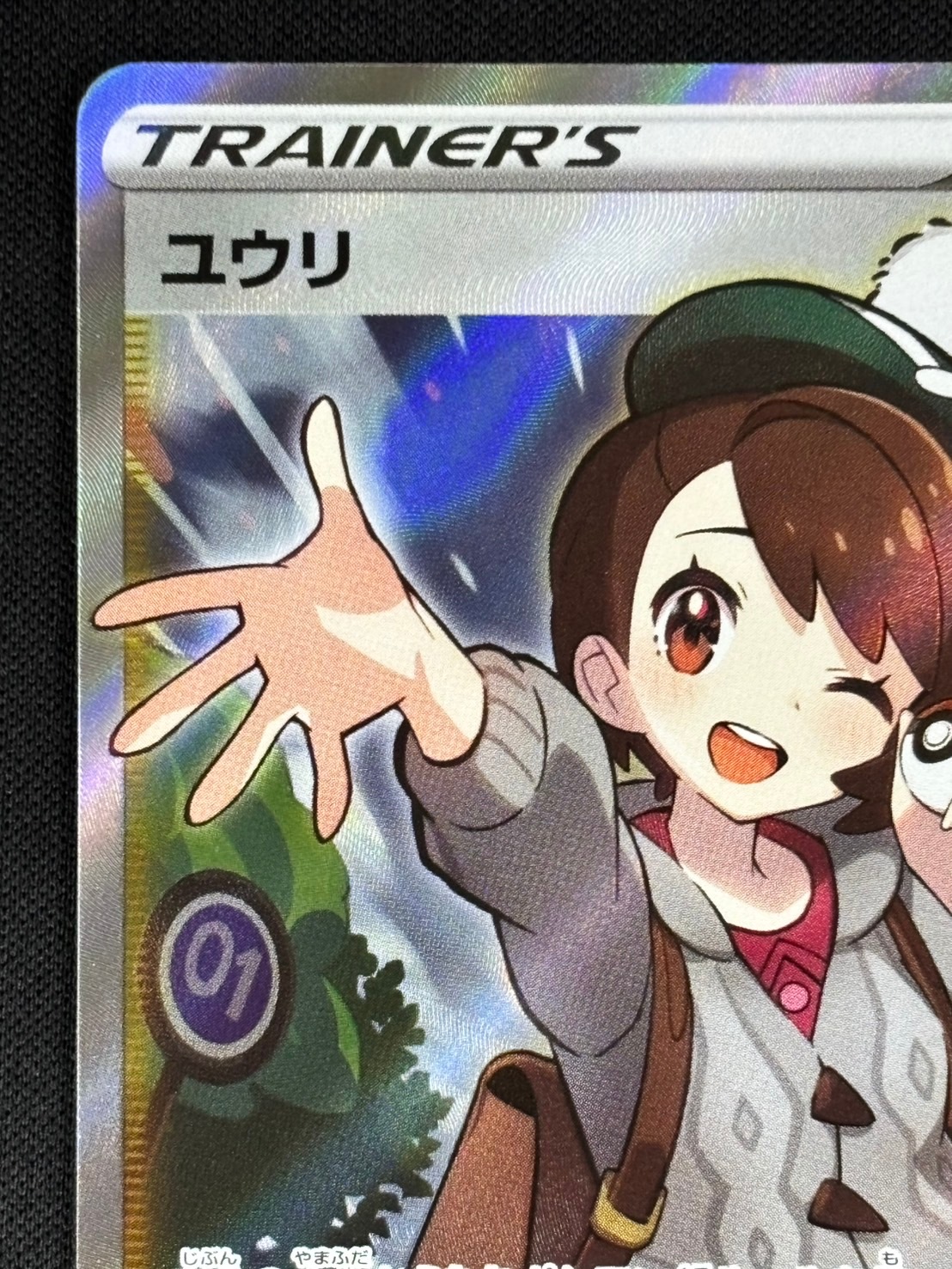 ポケモン - ポケモンカード　ユウリ　専用 1045007982170064_01_9964w.jpeg