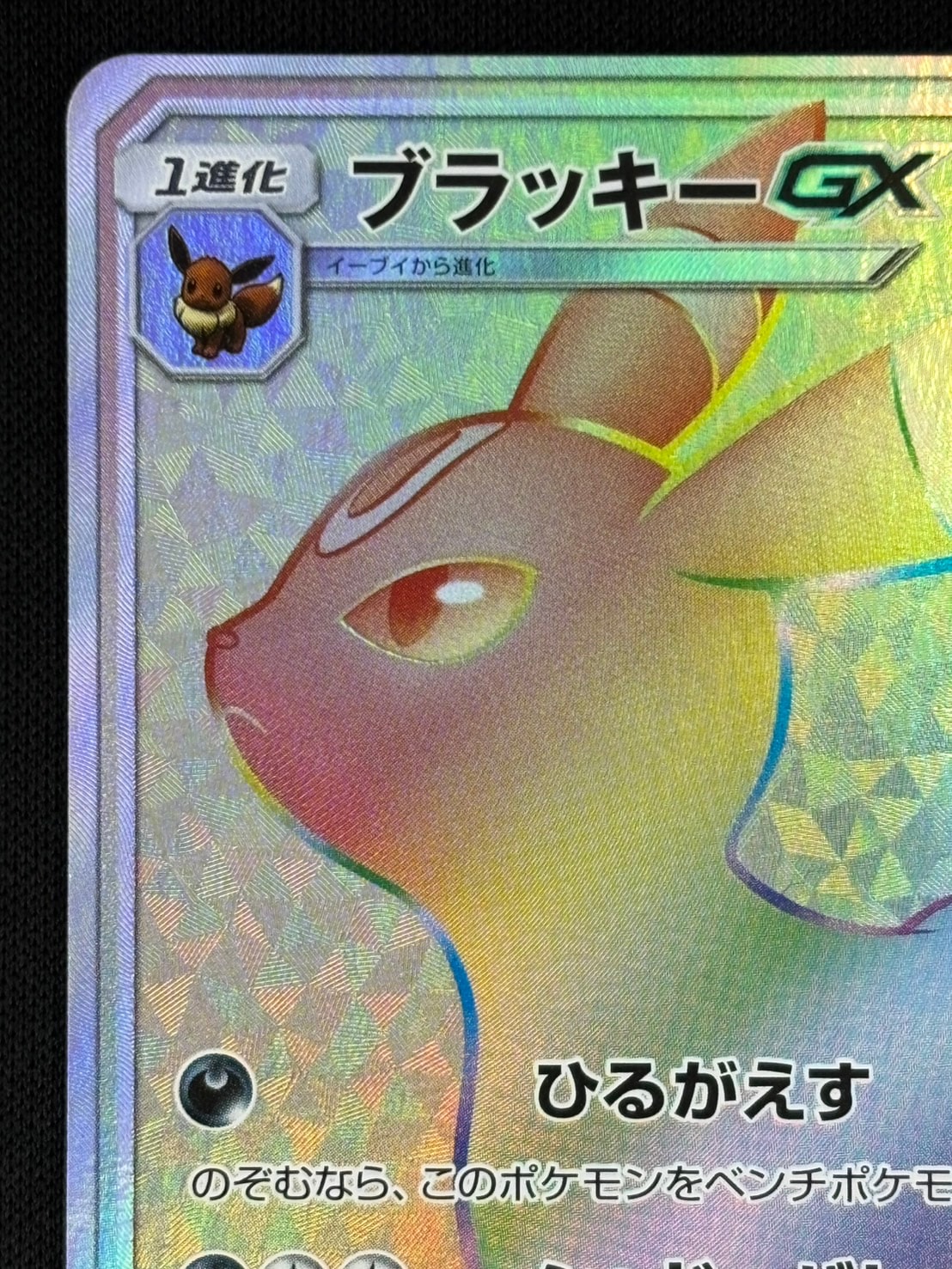 ブラッキーGX HR SM1M コレクションムーン HR ブラッキーGX 販売 | [SM1M] コレクション ムーン | ポケモン