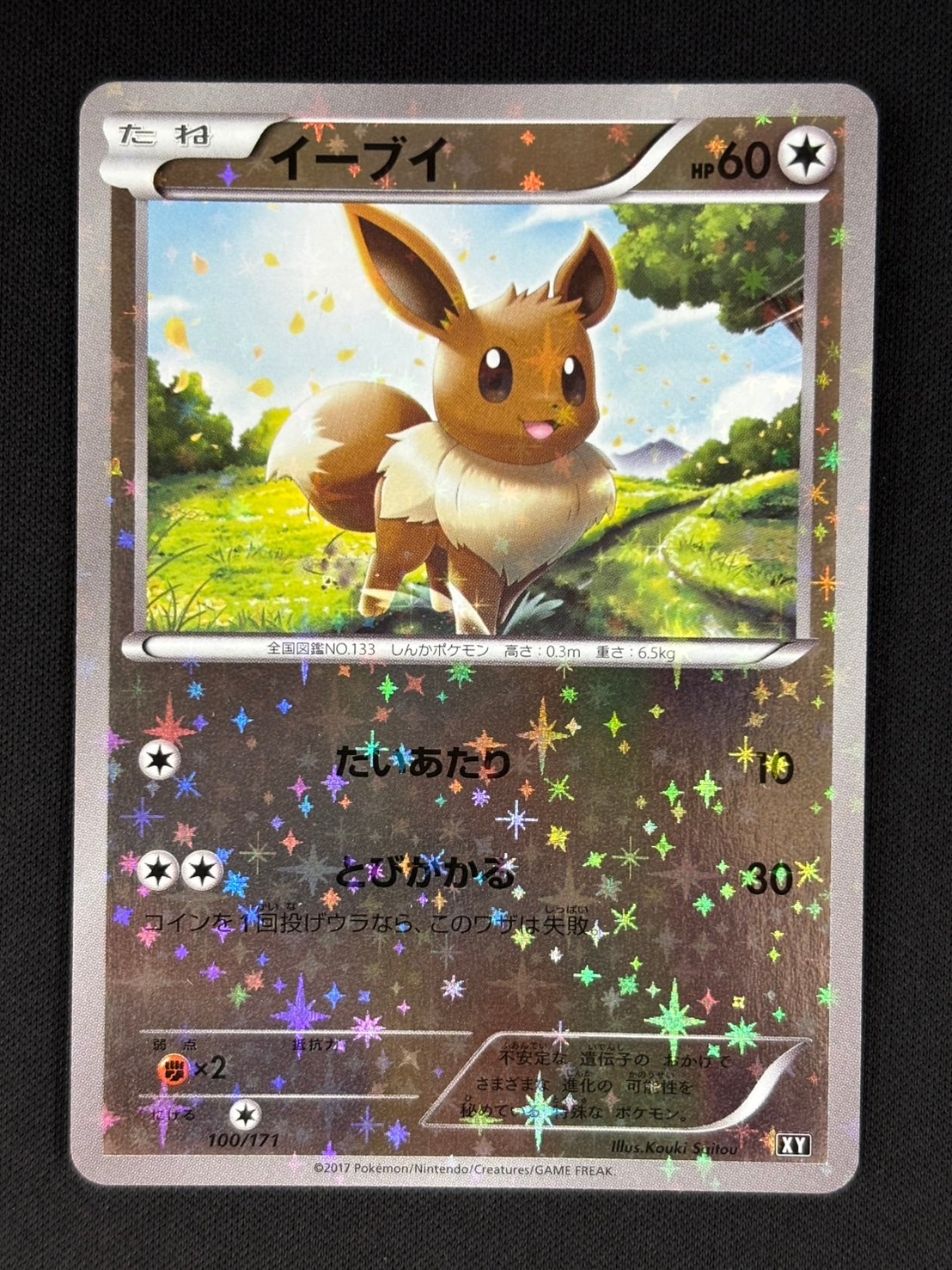 イーブイ ミラー 100/171 XY PSA10】イーブイ ミラー 100/171 XY