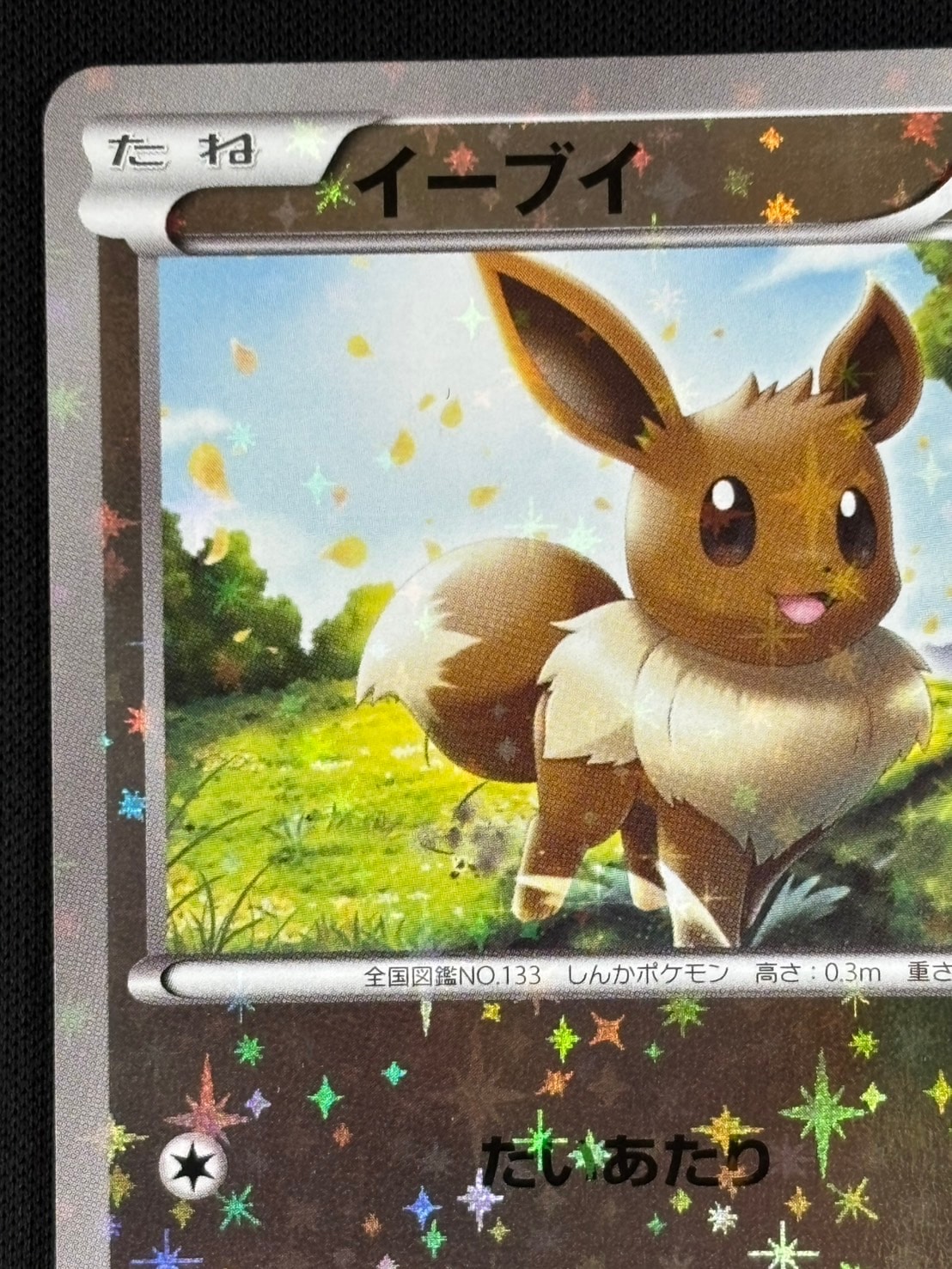 PSA10]イーブイ:ミラー(CP)〈100/171〉[XY/171-M] PSA10】イーブイ