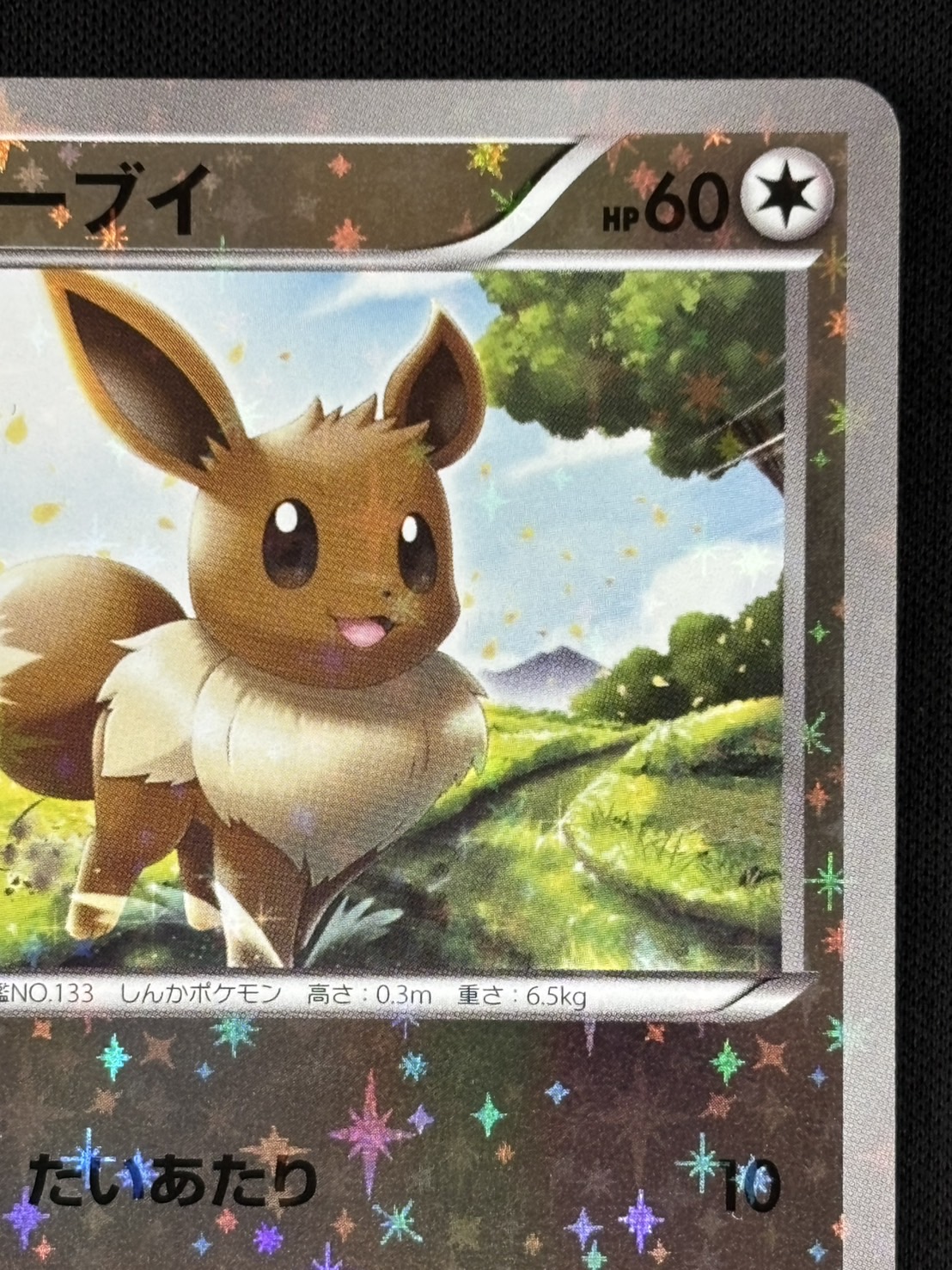 店頭同時出品中】【状態B】イーブイ《ﾐﾗｰ》[](XY-100/171) | ポケモン