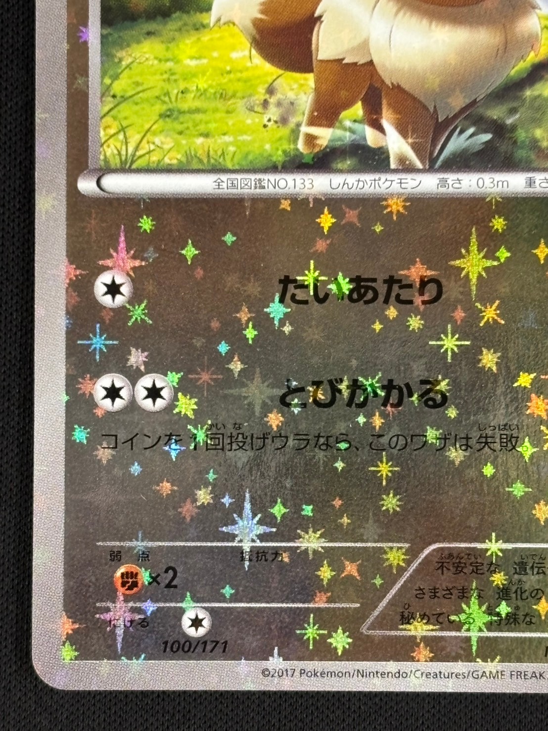 イーブイ ミラー 100/171