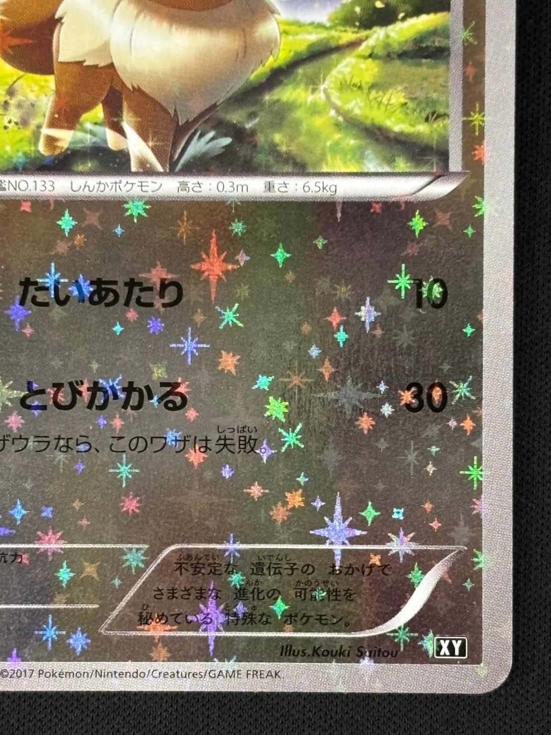 店頭同時出品中】【状態B】イーブイ《ﾐﾗｰ》[](XY-100/171) | ポケモン