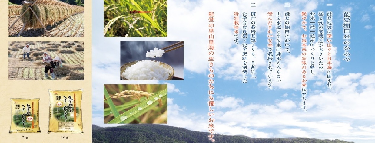 【令和7年産】能登棚田米　こしひかり　5kg　石川県能登産