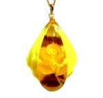 ϶ȺꣵOFF϶ǯ٤ùäεӡܤ٤ùĥĦ鯥ڥNo 