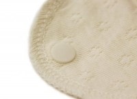 オーガニックコットン PRISTINE(プリスティン) パンティーライナー ３枚セット（メール便使用で送料無料！）