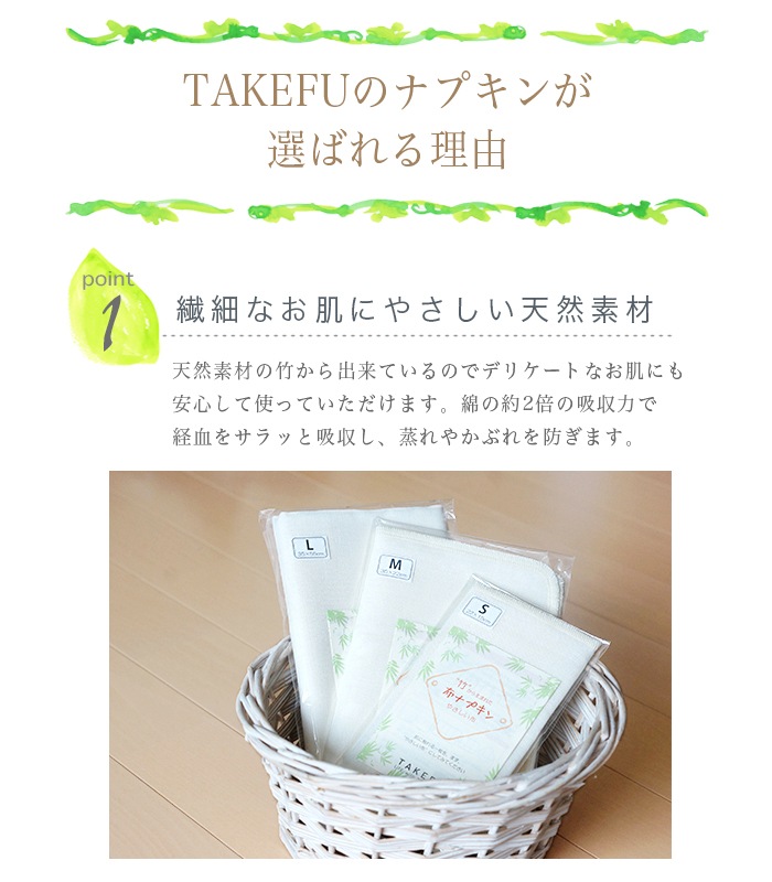 【送料無料】【２枚組】TAKEFU竹布・布ナプキンＬ ２枚組（メール便使用）