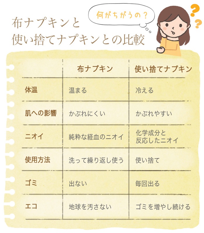【送料無料】【４枚組】TAKEFU竹布・布ナプキンS・４枚組み （メール便使用）