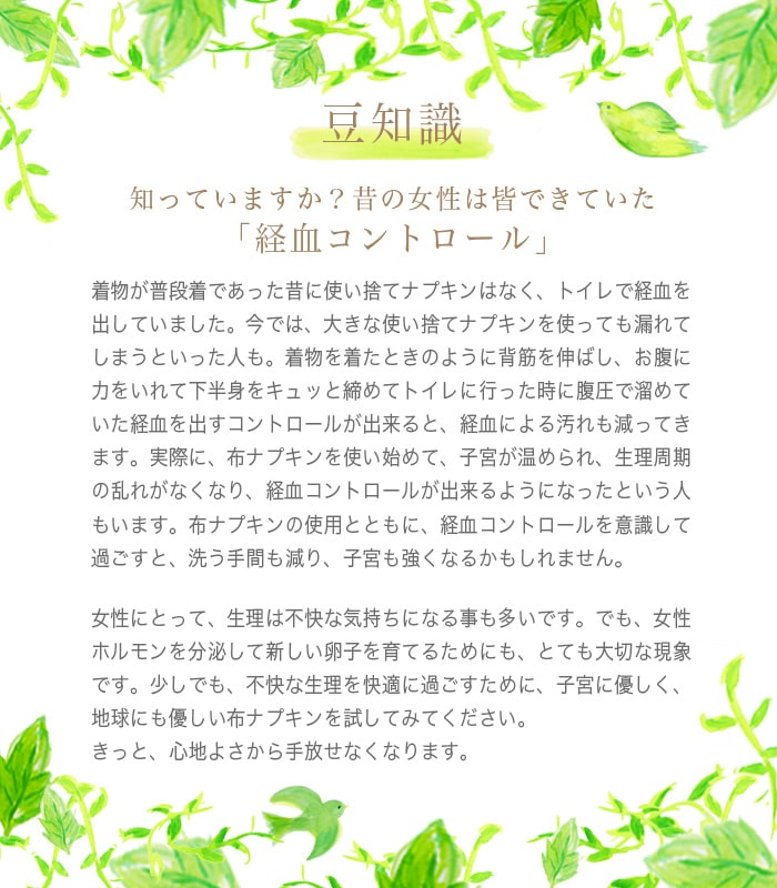 【送料無料】【４枚組】TAKEFU竹布・布ナプキンS・４枚組み （メール便使用）