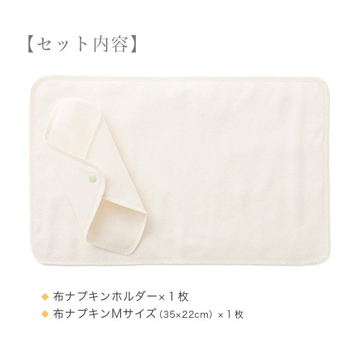 送料無料】TAKEFU竹布・布ナプキン・スターターミニキット （メール便