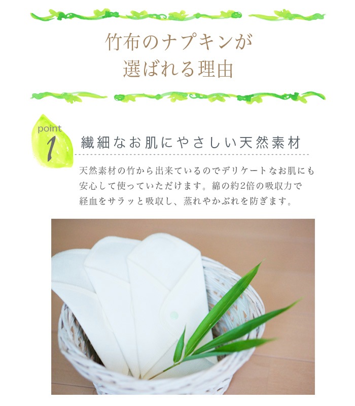 【送料無料】TAKEFU竹布・布ナプキン・スターターミニキット (メール便使用)