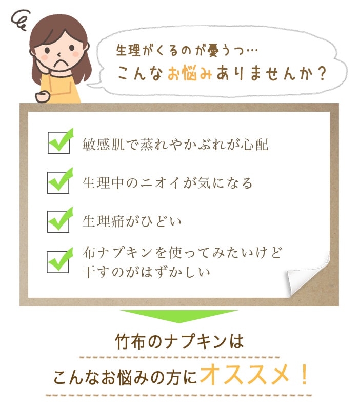 TAKEFU竹布・布ナプキン・ホルダー３枚セット （メール便使用送料無料）