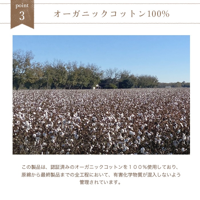 オーガニックコットン天衣無縫 スラブガーゼボーダー・ウォッシュタオル(メール便使用)