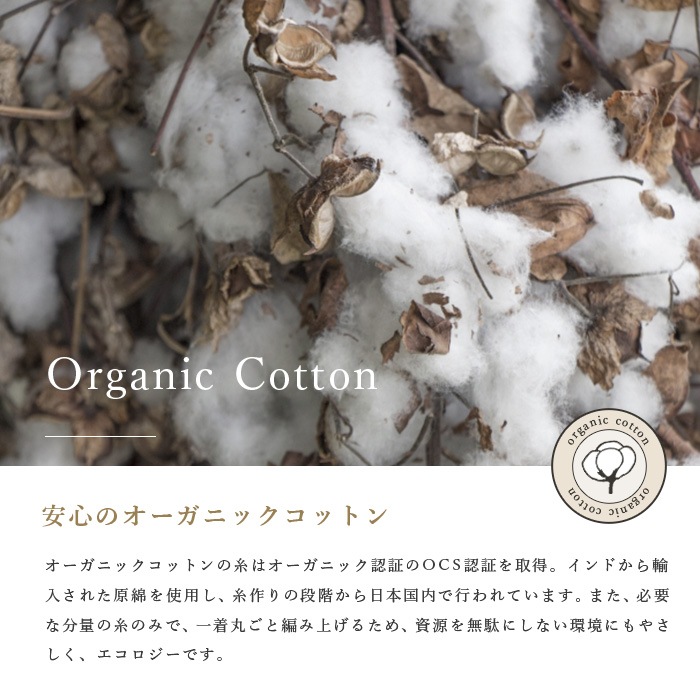 BEKO SELECTION あたたかニットショーツ オーガニックコットン 無縫製（メール便使用で送料無料！）6610 オーガニックコットン