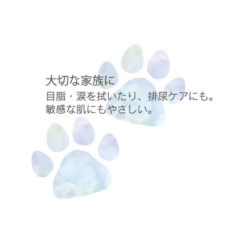 TAKEFU デイリーサポートシート(のり付き)20枚入り メール便使用 抗菌 保湿 花粉 敏感肌