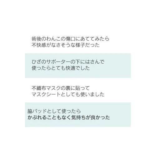 TAKEFU デイリーサポートシート(のり付き)20枚入り メール便使用 抗菌 保湿 花粉 敏感肌