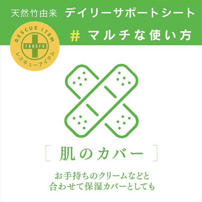 TAKEFU 竹布 天然竹由来 デイリーサポートシートミニキット メール便使用 抗菌 保湿 花粉 敏感肌