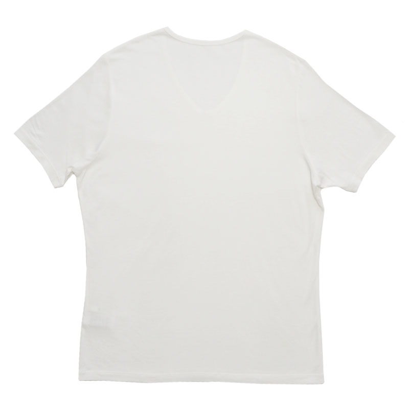 TAKEFU 竹布 VネックTシャツ（メンズ） （メール便使用で送料無料！）