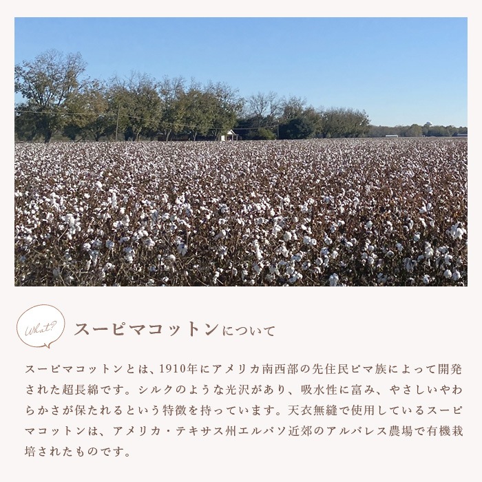 オーガニックコットン天衣無縫 リブ ロングパンツ(メール便使用で送料無料!)