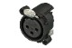 NEUTRIK NC3FAH2-D A���꡼������ʿ������ 3pin