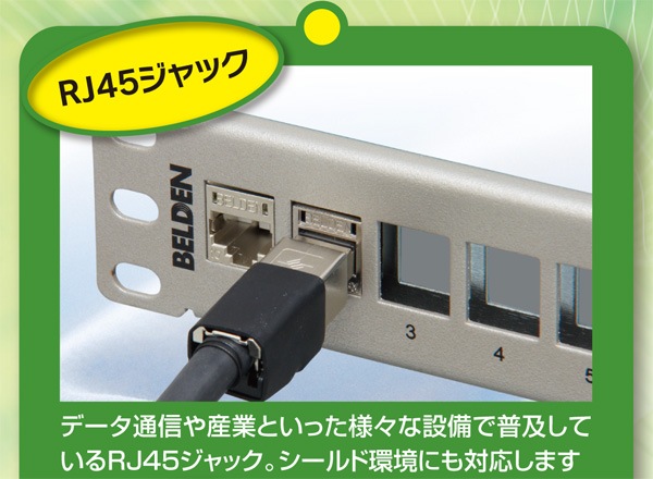 BELDEN ET-1303E-**/R CAT6A RJ45�������ͥåȥѥå������֥�(�꡼�륻�å�)
