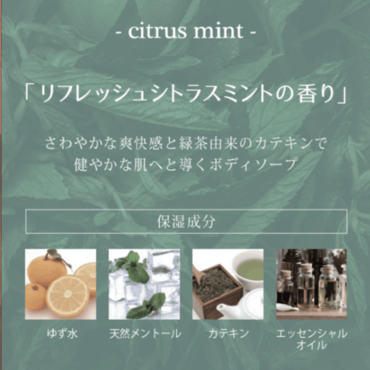 スティラ シトラスピーチ ボディケア セット 日本製 stila beauty 346801_1.jpg?04101603