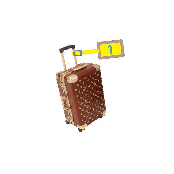 美品　海外購入(UK) Animal サーフブランド キャリーケース 美品 海外購入(UK) Animal サーフブランド キャリーケース