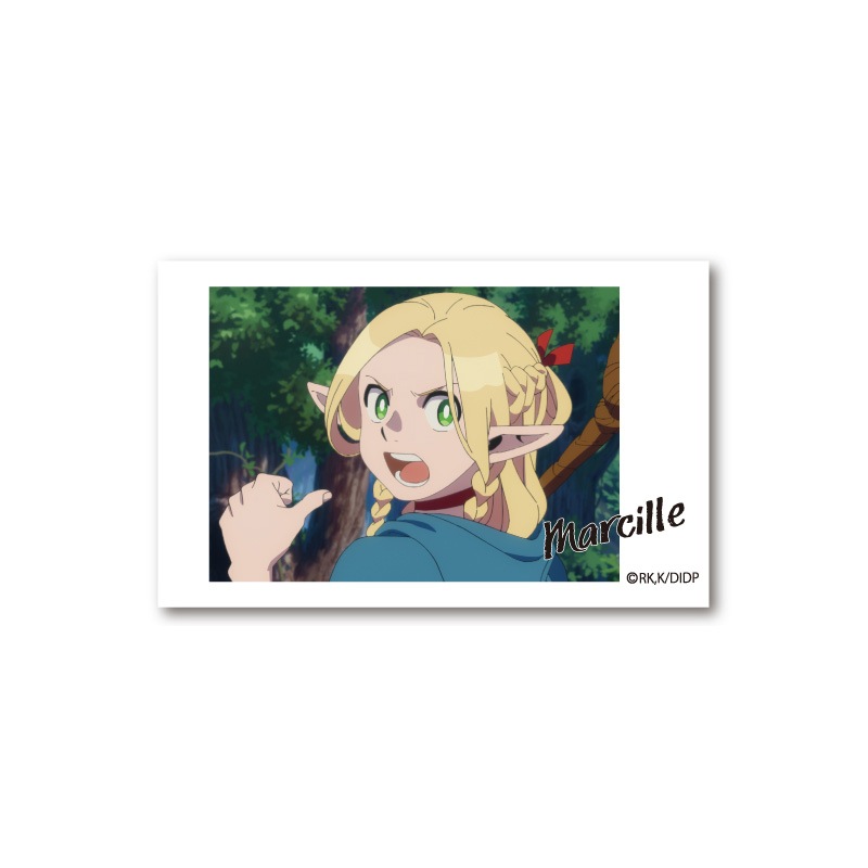 BellFine ベルファイン トレーディング　フォト風カード Vol.1 BOX / ダンジョン飯