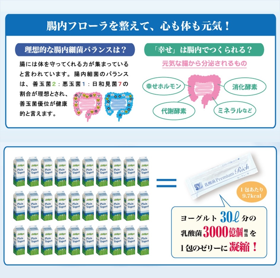 乳酸菌Premium Rich （ヨーグルト味）30包入