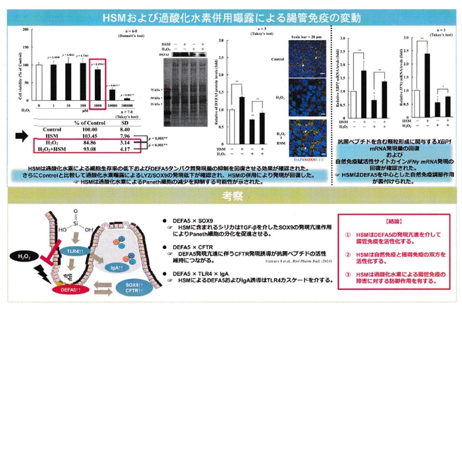 モイスキュア 天然ミネラル <br>北海道ケイ素源泉水配合化粧水<br>（500ml）