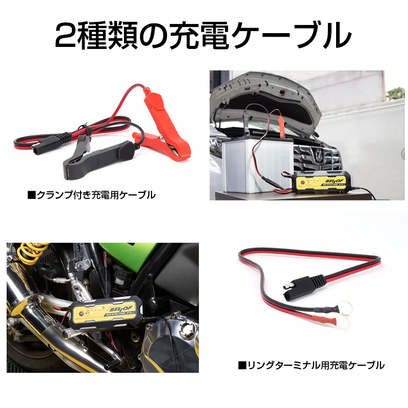 6V/12V対応 バッテリー充電器 サルフェーション除去機能付き [JSF028