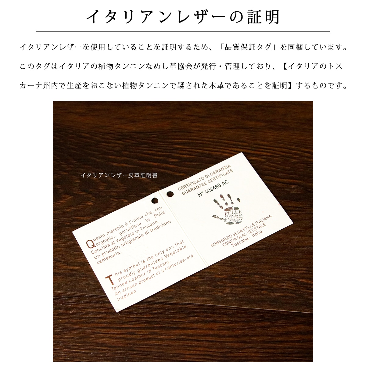 �� NEW �ۥץ��֥��쥶�� 6Ϣ��1�����ޤꥭ�������� Cognac