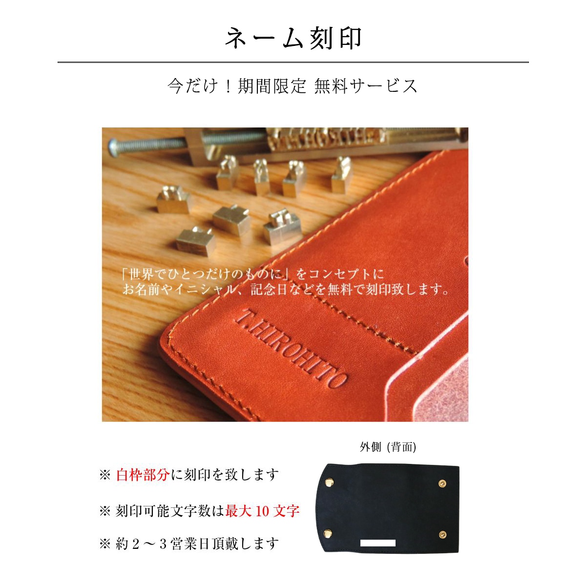 �� NEW �ۥץ��֥��쥶�� 6Ϣ��1�����ޤꥭ�������� Oliva