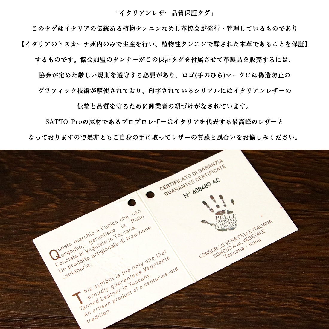 åȯ䡪̸ꤴͽںǿProǥۥ饦ZIPߥ˺ SATTO Pro