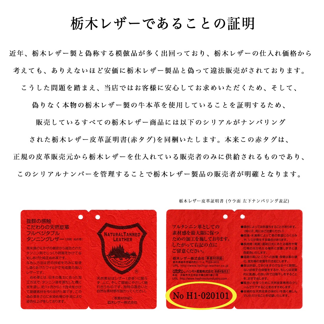 ��6.21(SUN)ȯ���ͽ������� ���� �ǿ�Pro��ǥ� �饦���ZIP�ߥ˺��� SATTO Pro ���ڥ쥶����ǥ�