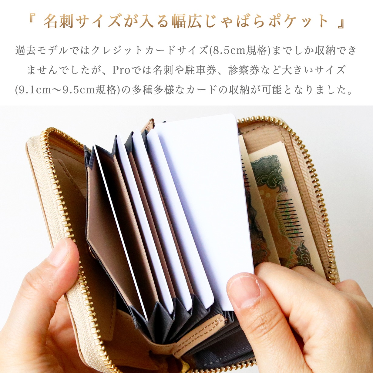 �ںǿ�Pro��ǥ�۸��� �饦���ZIP�ߥ˺��� SATTO Pro-��ǥ�������ǥ�