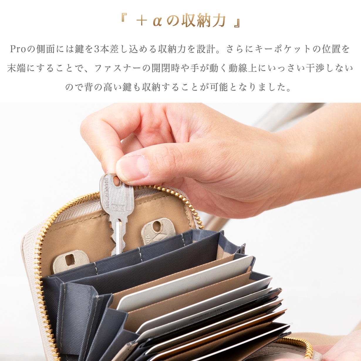 �ںǿ�Pro��ǥ�۸��� �饦���ZIP�ߥ˺��� SATTO Pro-��ǥ�������ǥ�