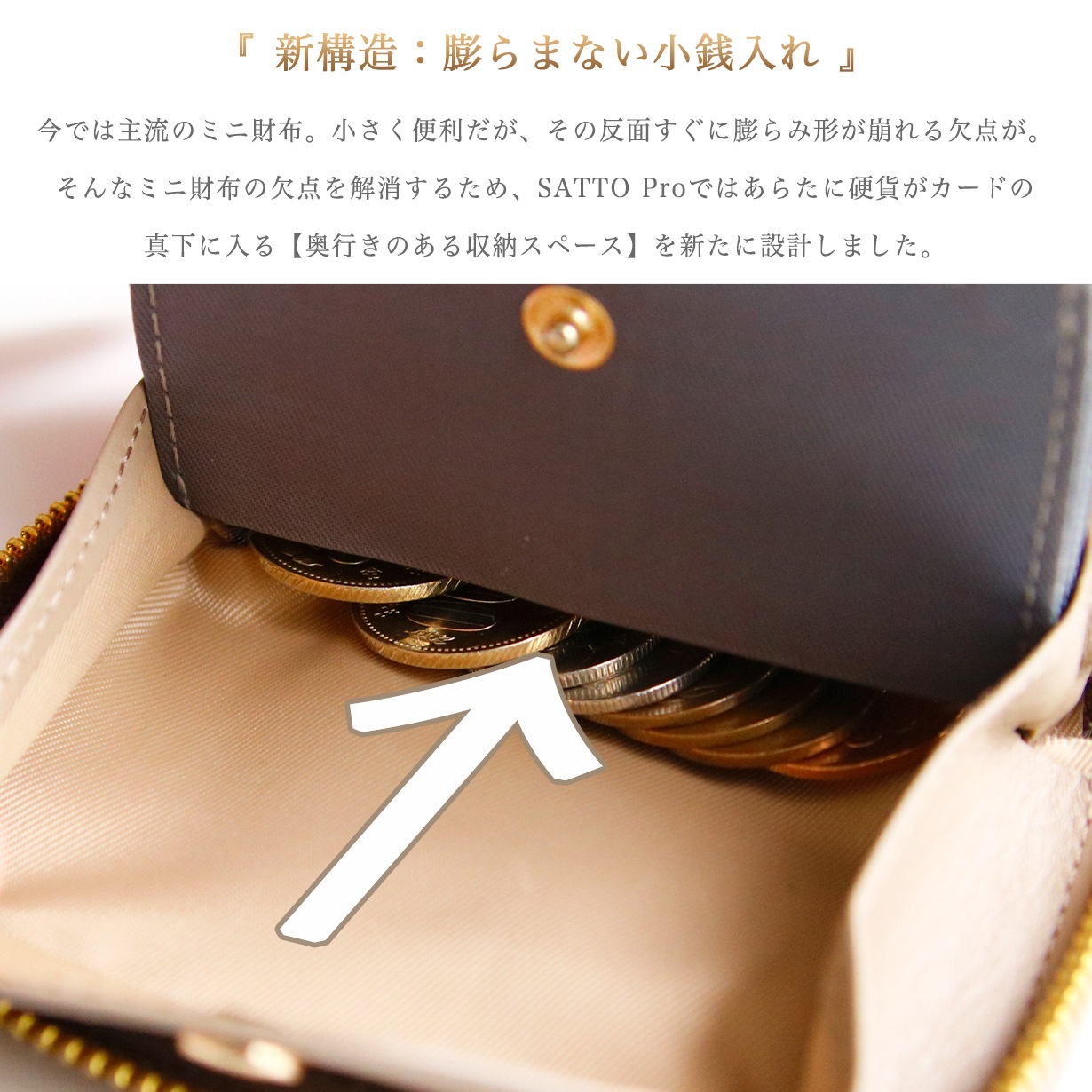 �ںǿ�Pro��ǥ�۸��� �饦���ZIP�ߥ˺��� SATTO Pro-��ǥ�������ǥ�