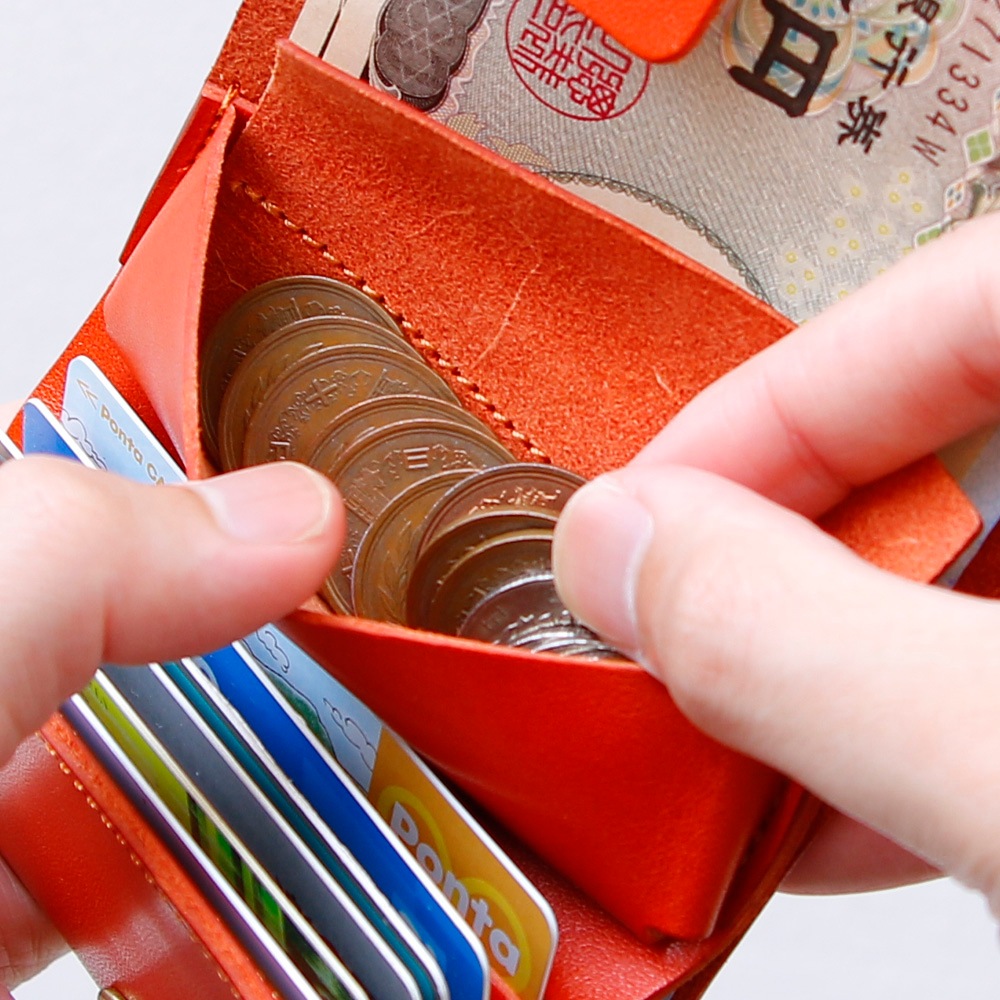 ߥ˺ SHUTTO / D.BROWN 裱ƥǥ