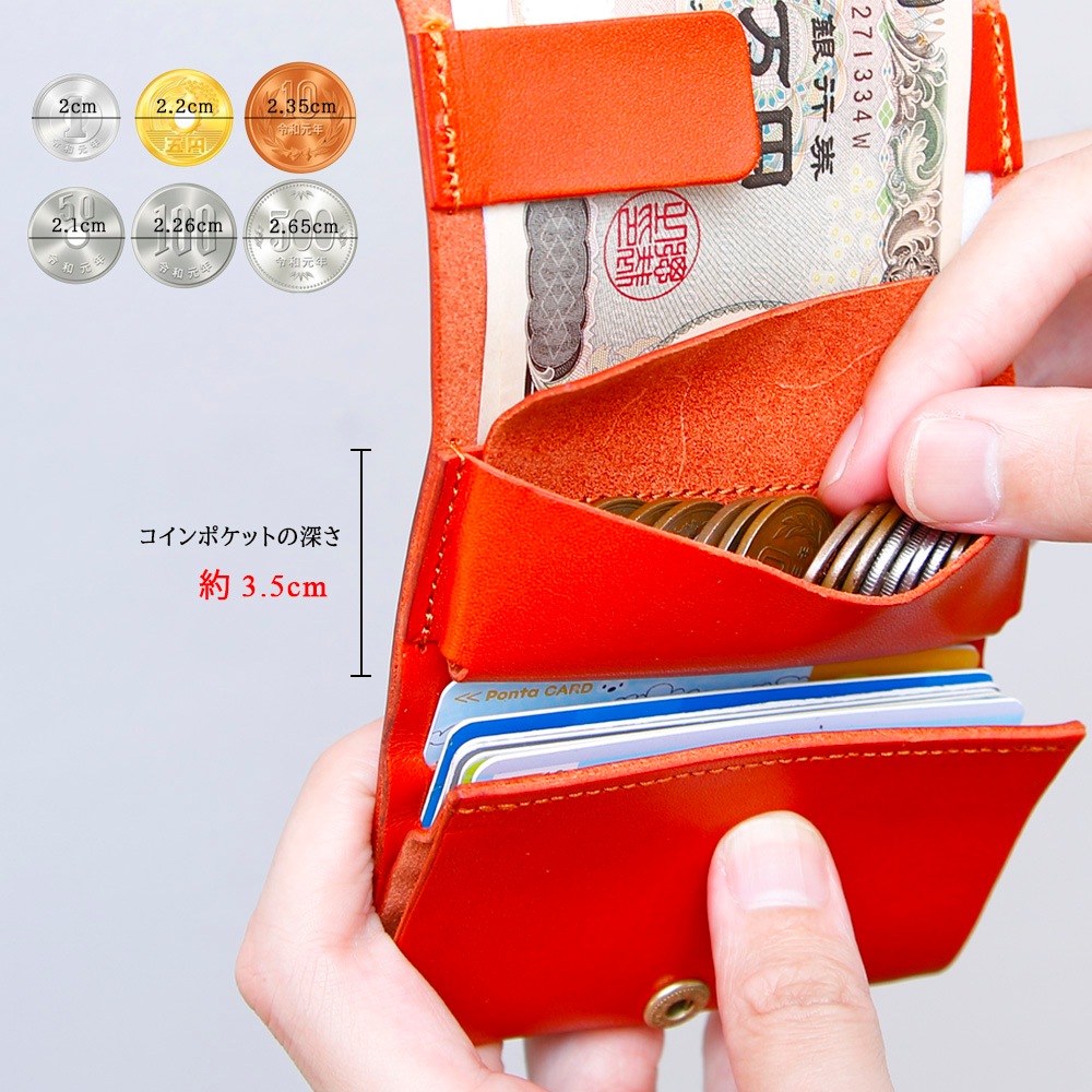 ߥ˺ SHUTTO / D.BROWN 裱ƥǥ