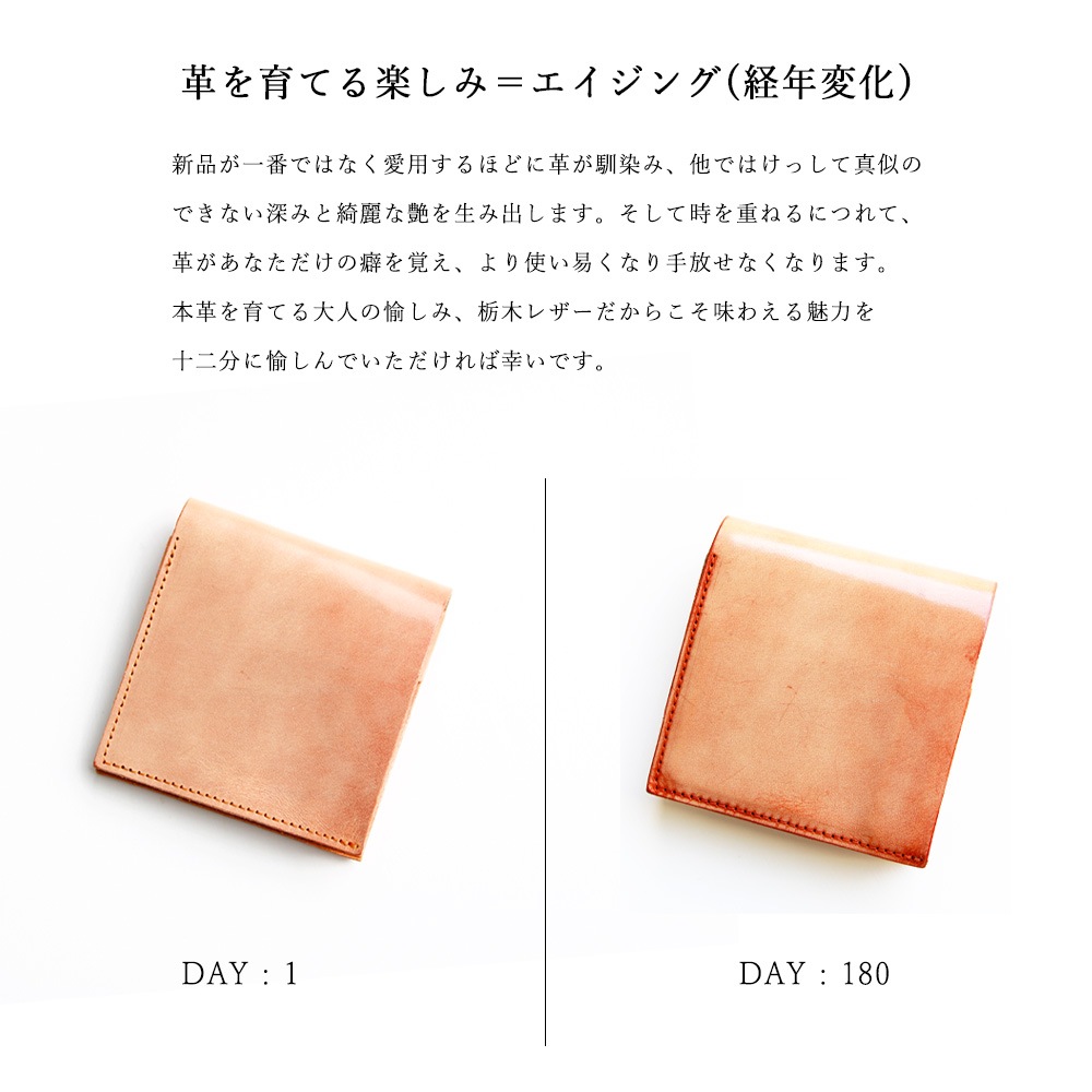 ߥ˺ SHUTTO QUARTET / NAVY 裲ƥǥ