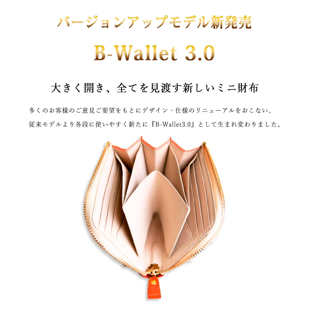 B-Wallet3.0  L.Brown