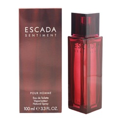 エスカーダ センチメント プールオム EDT・SP 100ml ESCADA SENTIMENT