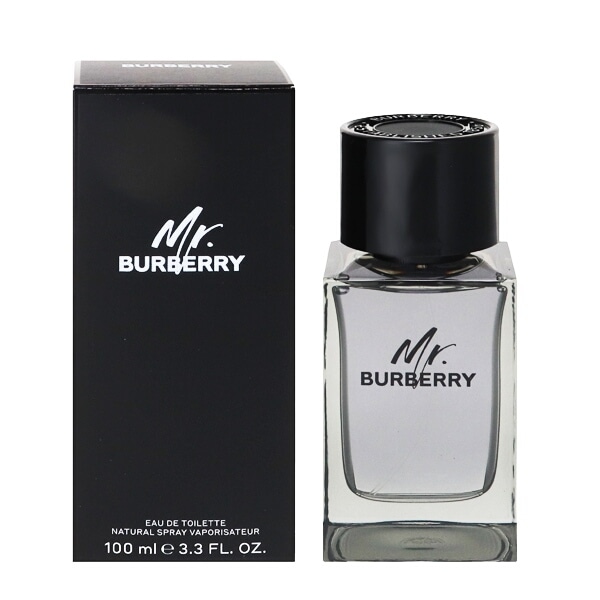 【箱無し、未使用】BURBERRYミスター バーバリー EDP 100ml ミスター バーバリー (箱なし) EDT・SP 100ml 送料無料 BURBERRY MR
