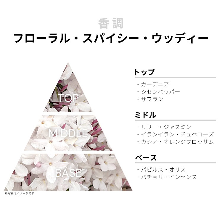 アムアージュ フィグメント ウーマン EDP 【お試し香水】 1ml