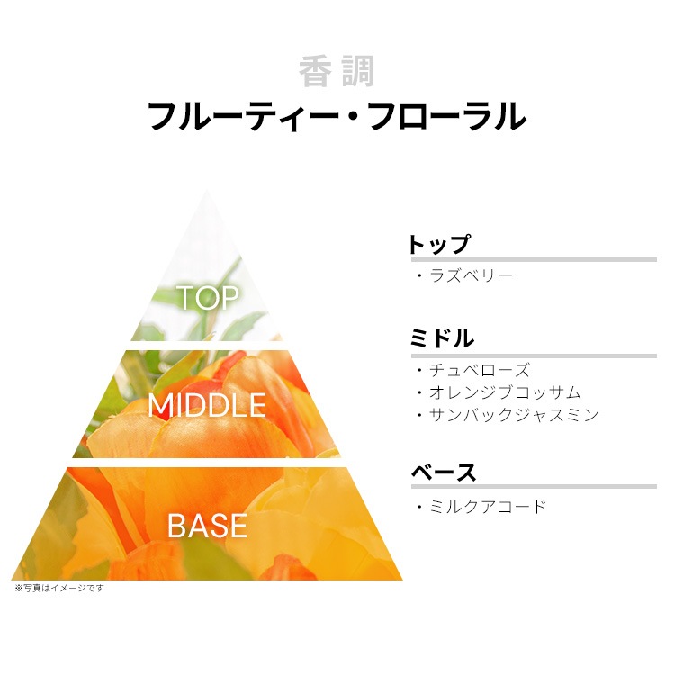 ジャン ポール ゴルチェ ソースキャンダル EDP・SP 50ml 送料