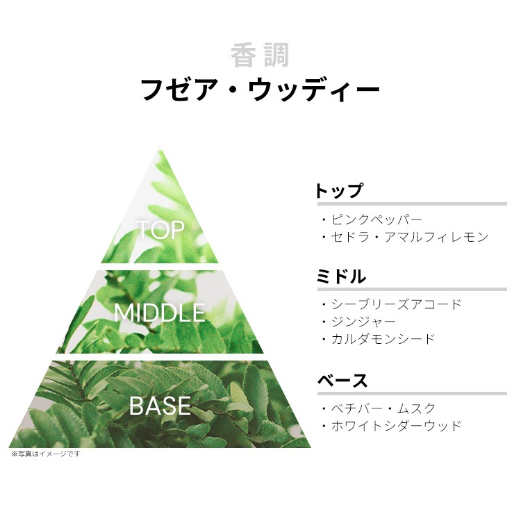 新品　未開封　サルヴァトーレ フェラガモ エフ バイ フェラガモ 50ml 新品 未開封 サルヴァトーレ フェラガモ エフ バイ フェラガモ 50ml