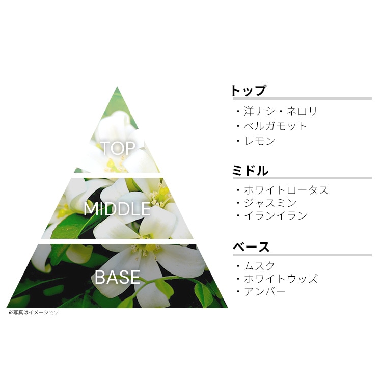 香水(女性用) LABORATORIO OLFATTIVO Nun Eau de Parfum Nun Laboratorio Olfattivo perfume - a fragrance for women