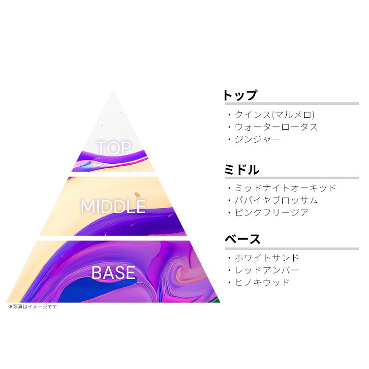 エリザベスアーデン プロヴォカティブ EDP・SP 100ml ELIZABETH ARDEN